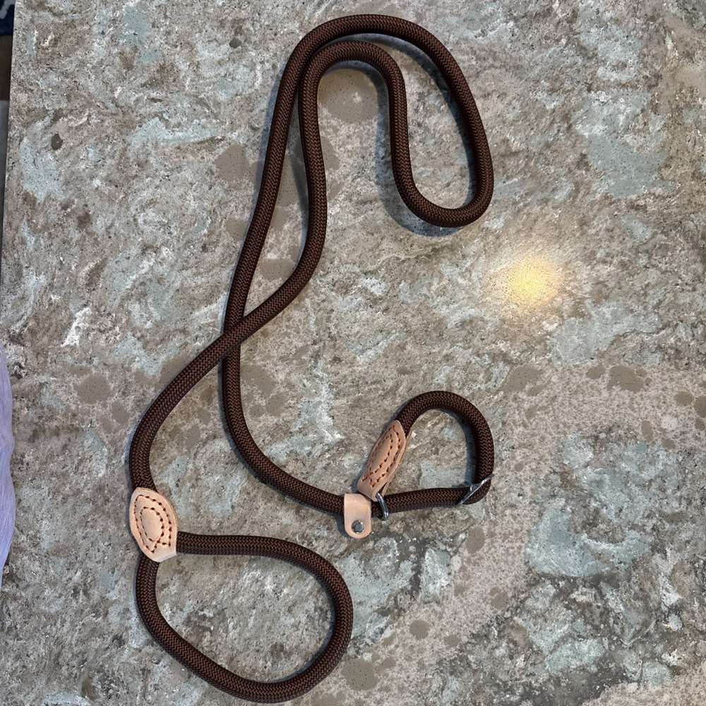5' Nylon Leather Slip Lead Dog Leash‎ Brown Dog Training Walking Exercise